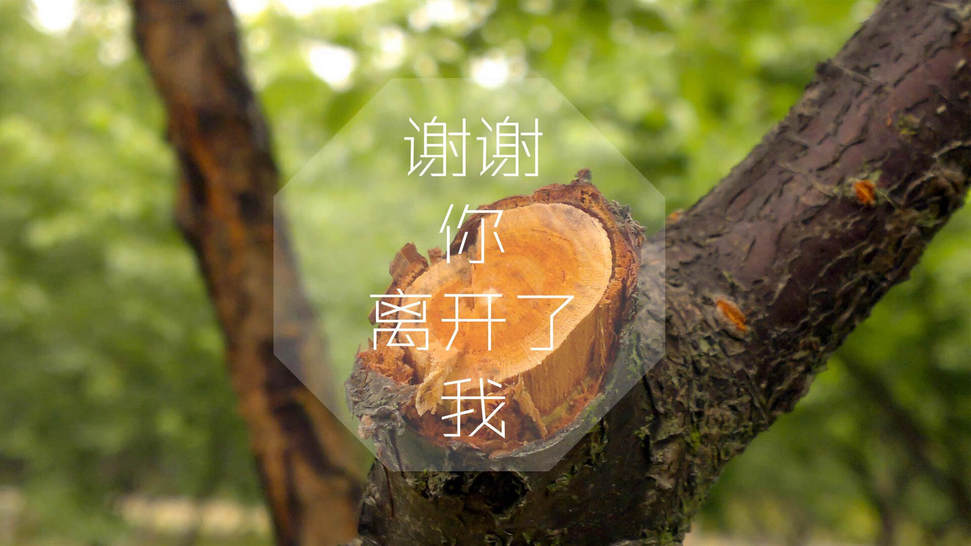 “青春建梦”青少年篮球创业基金在全国范围内正式启动,青少年篮球训练营
