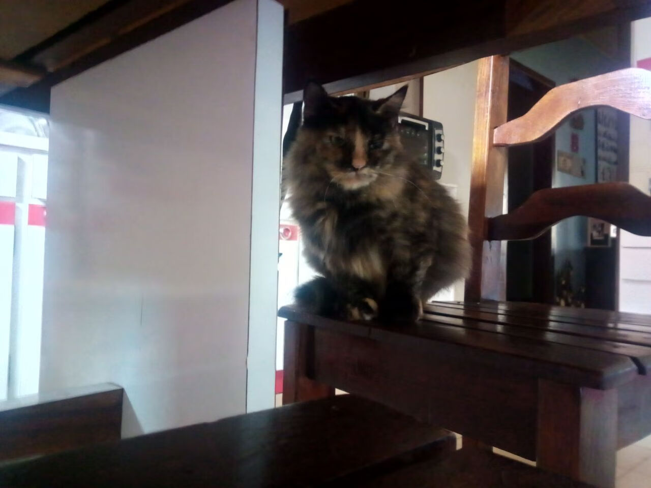 kaiyun登录入口-政府推动青少年足球多层次、宽领域全面发展，青少年校园足球扶持专项资金管理暂行办法